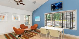 Autumn Chase Gallery 15