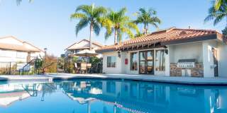 Viewpoint Luxury Apartments Gallery 10