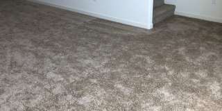 505 LOGAN JACOB LN Gallery 10