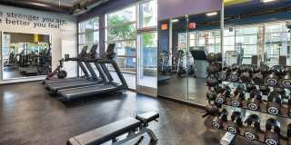 Sunset and Vine Sunset and Vine Gallery 29