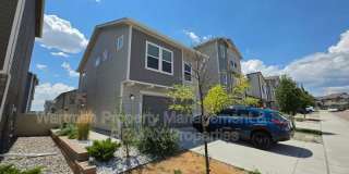 4175 Samaritan Loop Gallery 1