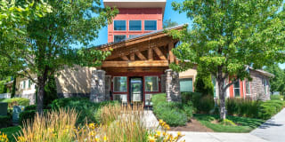 Olympus at The District Gallery 44