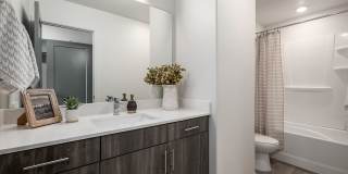 Fossil Cove Gallery 18