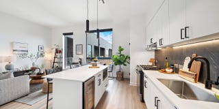 Forth at Navigation Gallery 20