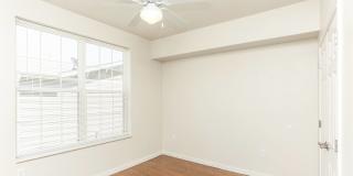 East Meadows Gallery 14