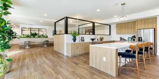 The Amber Gallery 25