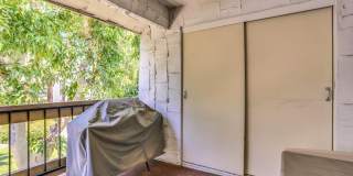 5225 E Waverly Drive Gallery 9