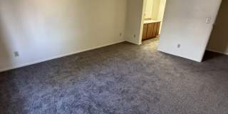 7928 East Colette Circle Gallery 17