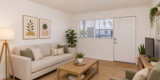 Palms on 2nd Gallery 55