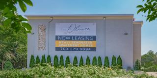 The Oliver in Alexandria Gallery 12