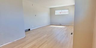 Remodeled Park Hill 2-Bedroom with New Floors & Countertops Near City Park + Transit | Available Now! Remodeled Park Hill 2-Bedroom with New Floors & Countertops Near City Park + Transit | Available Now! Gallery 1