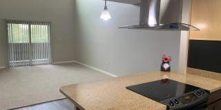 Casa Presidio Apartments Gallery 56