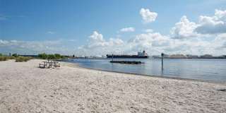 610 LUZON AVENUE Gallery 26