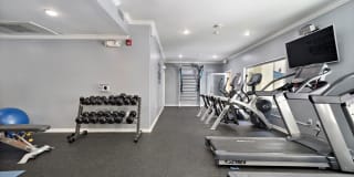 Boulevard on Wilshire Gallery 16