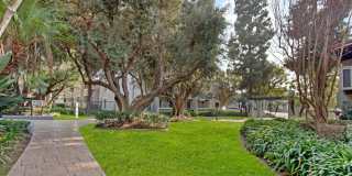 Olive Ridge Apartments Gallery 27