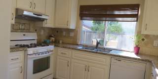 30061 Whitecap Gallery 18