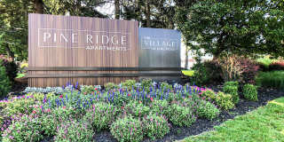 Pine Ridge Apartments Gallery 26