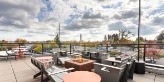 Westline Gallery 25