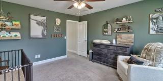 256 Wessinger Farms Rd Gallery 40