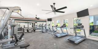 Boulevard at Lakeside Gallery 36