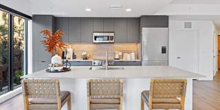 Aster & Links Gallery 30