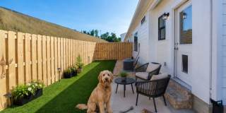1 Bedroom home with Garage! Gallery 11