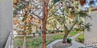 Pacific Legends 2 Bed Condo Near Pool Gallery 20