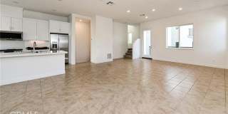 258 Sash 258 Sash Gallery 2