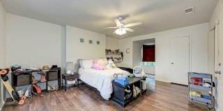 3102 Cedar Gallery 29