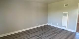 Palm Rose Gallery 15
