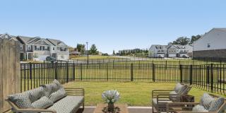 Poplar Row Gallery 35