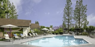 The Arbors Gallery 7