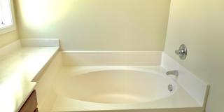 Coming in March 2026!! Gallery 11