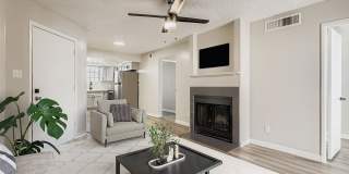 Rise on Cactus Gallery 22