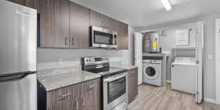 District at Pellicano Gallery 3