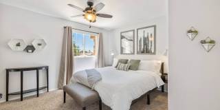 Ocotillo Private Oasis & Pool (May - October Monthly Only | No Long Term Rentals) Gallery 67