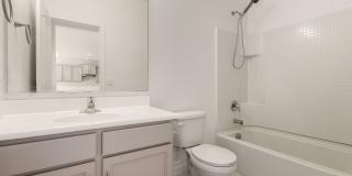 One Of A Kind Home For Rent In Buckeye! Gallery 37