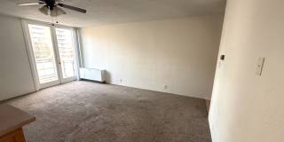 Studio Apartment in DU Area-Parking and Storage! Gallery 6