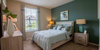 Century Dunes Gallery 19