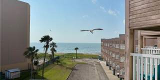 3938 Surfside Gallery 15