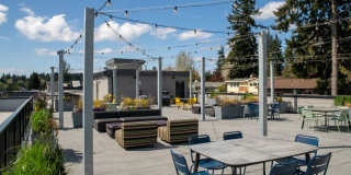 Morado Bothell Gallery 28