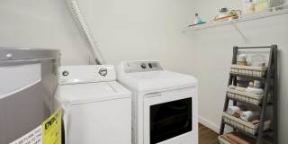 Annen Woods Annen Woods Gallery 16