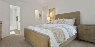 Hollis 7601 Gallery 30