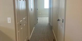 AB6687 Gallery 7