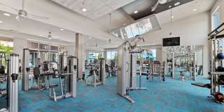Avail Modern Living Gallery 9