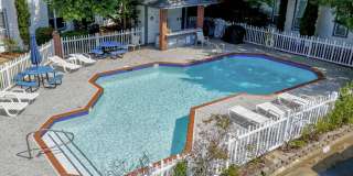 One Block From the Beach, Freshly Renovated Condo In Virginia Beach! Cape Henry Trail  First Landing Park Direct Access! Gallery 1