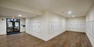 The Statesman Gallery 20