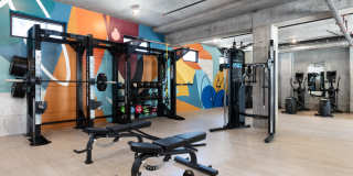 Star Harbor Gallery 11