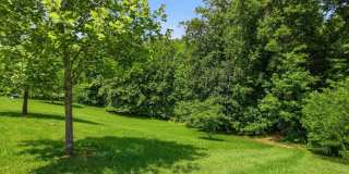 10615 QUAKING ASPEN Way Gallery 50