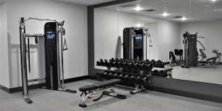 Degree of Honor Gallery 12